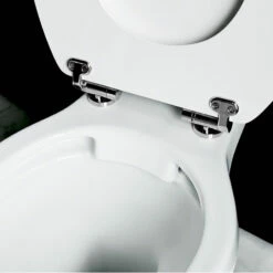 Close-coupled Pan With Chrome/Aluminium Cistern, Med-level Flush Pipe Kit -Old Fashioned Bathrooms Sales Rimless Pan Close Up1