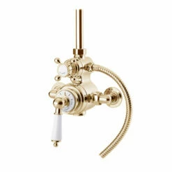 St James Antique Gold Traditional Exposed Valve – 2 Outlets | Suffolk