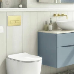Crosswater MPRO Flush Plate - Old Fashioned Bathrooms -Old Fashioned Bathrooms Sales mpro flush plate 1
