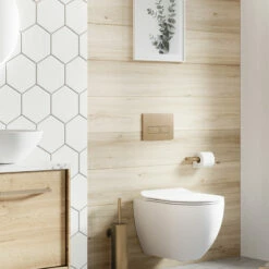 Crosswater MPRO Flush Plate - Old Fashioned Bathrooms -Old Fashioned Bathrooms Sales mpro flush plate 7